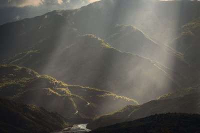 自然 景观 云 树木 幻想 森林 天空 多雾路段 山 户外的