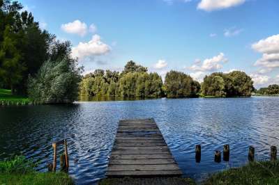 Salzgitter 湖 Salzgittersee 网络 自然 景观