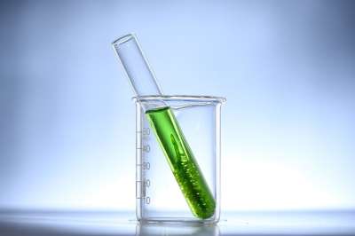 海藻开花 海藻农场 背景 生物燃料 生物学 生物技术 曹 二氧化碳
