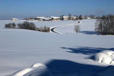 冬天 雪 寒冷的 景观 自然 冬季景观 太阳 白色的 下雪的