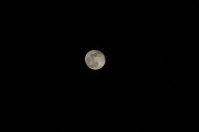 月亮 满月 Poornima 夜晚 月光 黑暗的 神秘 自然