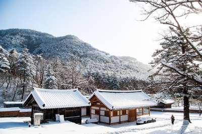 寺庙 韩国 冬天 雪 景观 佛教 旅游 旅行 自然 韩屋 山