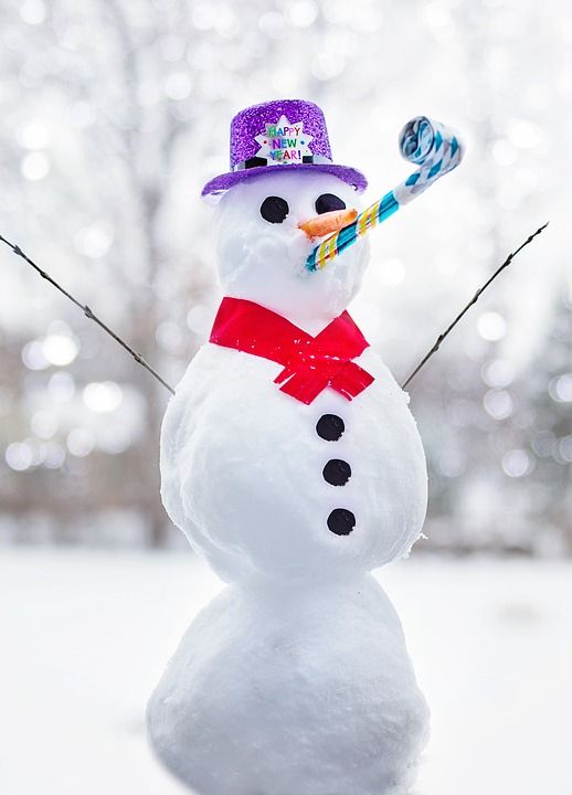 雪人 新年快乐 冬天 问候 寒冷的 雪 快乐的 乐趣