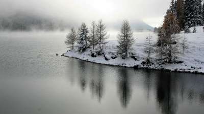 落叶松 冬季 景观 雪 树木 达沃斯 人类发展报告 》 视图