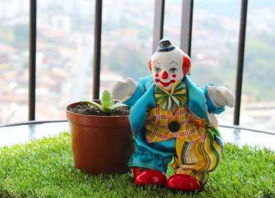 小丑 数字 碗 植物 草 装饰 马戏团 喜悦 搞笑 多彩