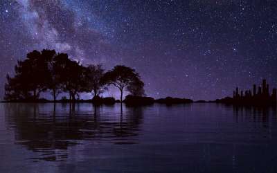 树木 水 星星 夜晚 天空 星空 星夜 宇宙 观星 树剪影