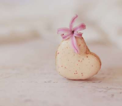 Macaron 心 糕点 心马卡龙 爱 法式糕点 法国蛋白杏仁饼干
