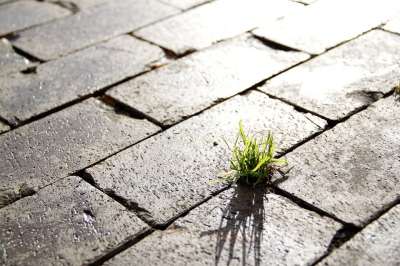 街道 草 人行道 光 城市的 城市 对比 绿色 灰色的 城市化