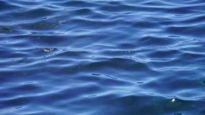 大西洋 海 水 蓝色的 背景 波浪 平静的海面 温和的 投标