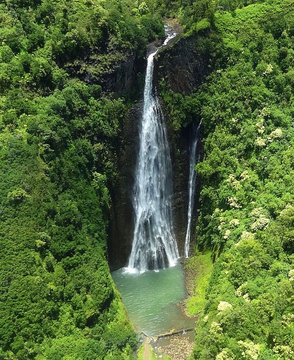瀑布 落下 有天赋的人 级联 森林 风景秀丽的 风景 绿色 荒野