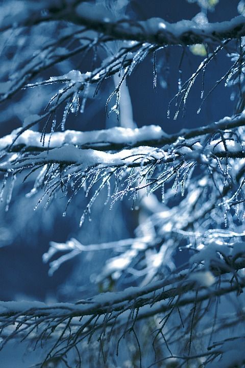 自然 冰柱 雪 冬天 季节 冬天 冬天 冬天 冬天 冬天