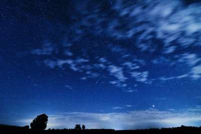 流星 仙人掌 夜晚 黑暗的 天堂 云 蓝色的 天文学 星空