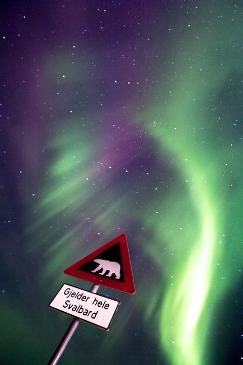 极光 北极光 雪 蓝色星空 阿拉斯加州 极地极光 雪景 北极 灯