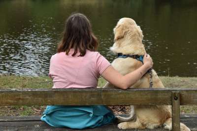 年轻女子 湖 金毛猎犬 狗 公园 爱好 犬类 动物 同谋