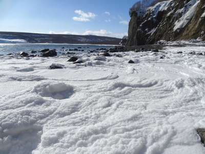 海 海滩 湾 海泡 冬季 弗罗斯特 寒冷的 雪 海岸 大海沙滩