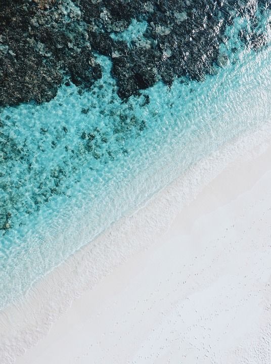 海滩 海洋 海 旅行 冒险 假期 空气 水 波浪 珊瑚 海滩