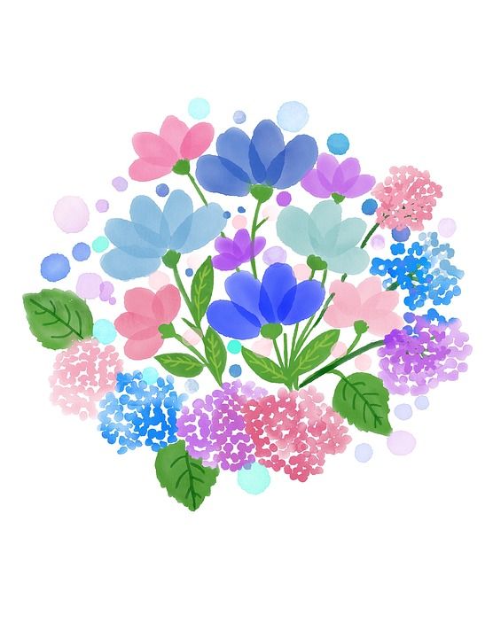 水彩花 水彩 花朵 春天 花的 剪贴簿 装饰 工艺 花束 绘画