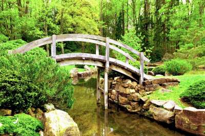 桥 日本人 花园 溪 岛 树木 亚洲人 户外的 风景秀丽的 禅