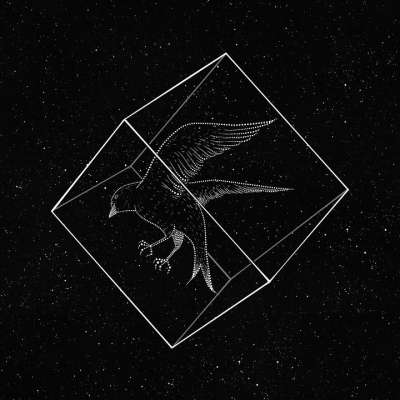 鸟 星星 翅膀 宇宙 繁星点点 星系 空间 夜晚 卡通片 绘画