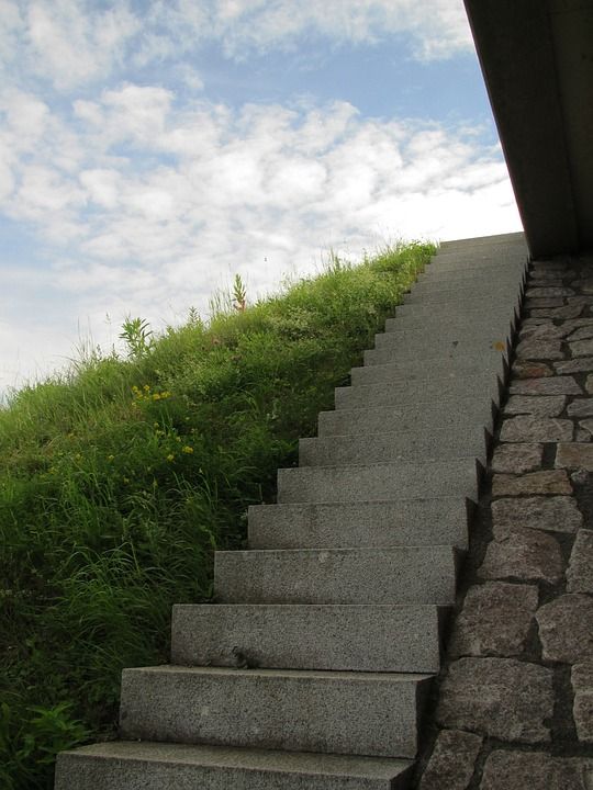 楼梯 路 上升 阶段 天堂 草地 雨 访问 石头 桥 植被