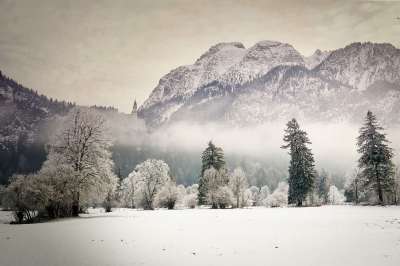 雪 冬天 山 树 寒冷的 城堡 新天鹅堡 冬季 冬季景观