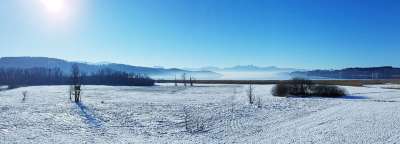 景观 冬天 阿尔卑斯山 吹风机 雪 多雾路段 湖 Simssee
