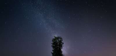 高清壁纸 星空 银河 树 Ppt背景 壁纸 夜空 Ppt背景