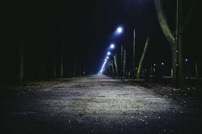 夜晚 街道 路 路灯 城市 城市的 晚上 树木 路灯 路灯