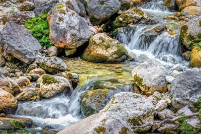 级联 溪 河 水 岩石 石头 自然 森林