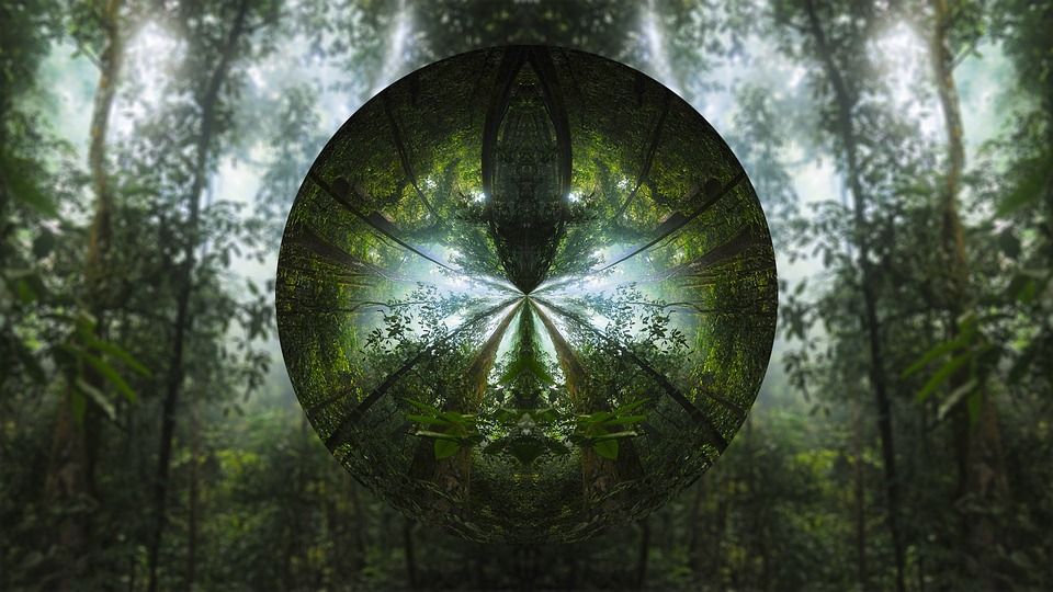 树, 圆圈, 镜片, 森林, 绿色的森林, 绿树, 绿色圆圈