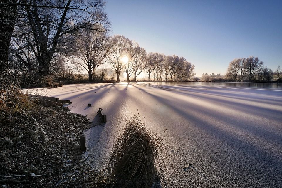 冬天, 湖, 寒冷的, 冻结, 雪, 冰冷的, 冬季景观, 日出, 冬季