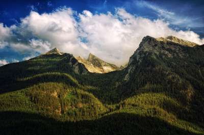 山 森林 树木 自然 景观 云 天空 高山 风景秀丽的 高地