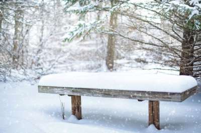 雪 长椅 下雪的 冬天 寒冷的 自然 冻结 公园 户外的 森林