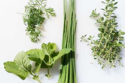 香料 细叶芹 柠檬唇膏 韭菜 百里香 厨师 草药 厨房 烹饪草药