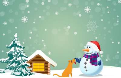 雪的人 新的一年 冬天 下雪的 自然 雪 森林 寒冷的 树
