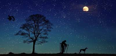 巫婆 狗 月亮 树 景观 童话 星星 星空