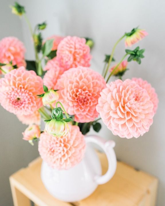 大丽花 花朵 花瓶 花束 植物 组成 束鲜花 装修 性质 仪式