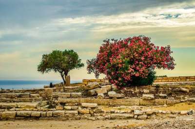 塞浦路斯 Kourion 景观 树木 天空 云 地平线 古老的