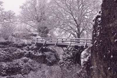 木桥 树木 雪 废墟 多雾路段 寒冷的 霜 冬天 景观