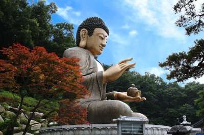寺 佛 佛教 大韩民国 韩国 旅游 大自然 韩国节日 旅行