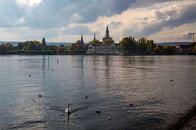 Konstanz 城市 湖 全景 博登湖 水 风景 牧歌 鸟类