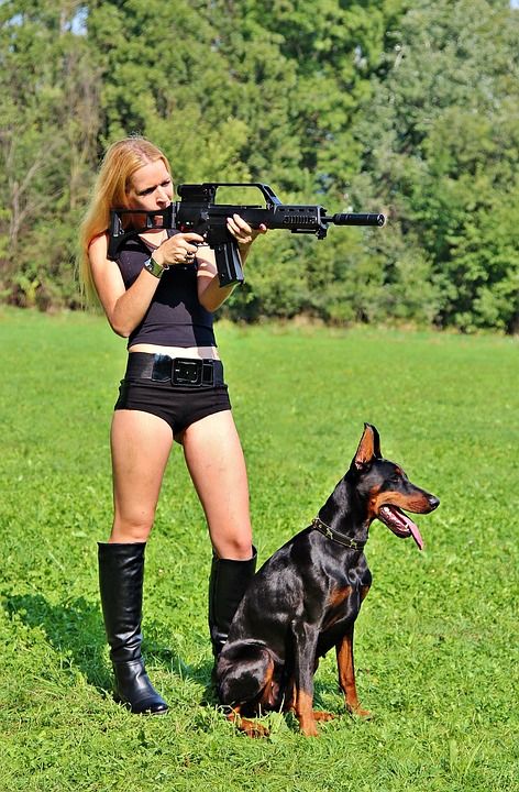武器 杜宾 狗 女子 手枪 打猎 狙击手 目标 草 性感的