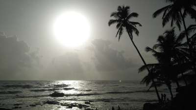 海滩 太阳 阿拉伯海 棕榈树 假期 水 海 天空 日落 自然