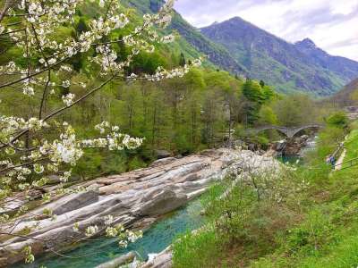 自然 水域 景观 山 流动 巴耶韦尔扎斯卡 瑞士 意大利