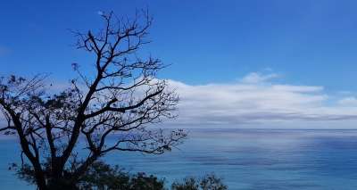 大自然 景观 树 天空 户外 海洋 蓝天 大海 海边 海景