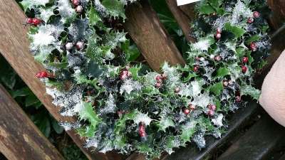 圣诞节 花圈 雪 圣诞冬青 十二月 圣诞花环 喜庆的 装饰性的