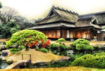冈山 日本 寺庙 建造 树木 植物 池塘 水 人类发展报告