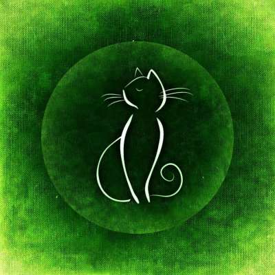 猫 背景图片 帆布 背景 动物