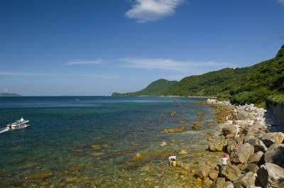 白云 大海 花 丘 海景 海 山 蓝天 海岸线 路
