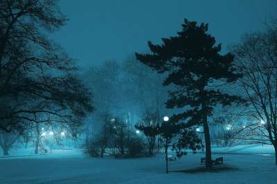 公园 夜 冬季 雾 灯 黑暗 城市 华沙 雪 白色的 灰色的